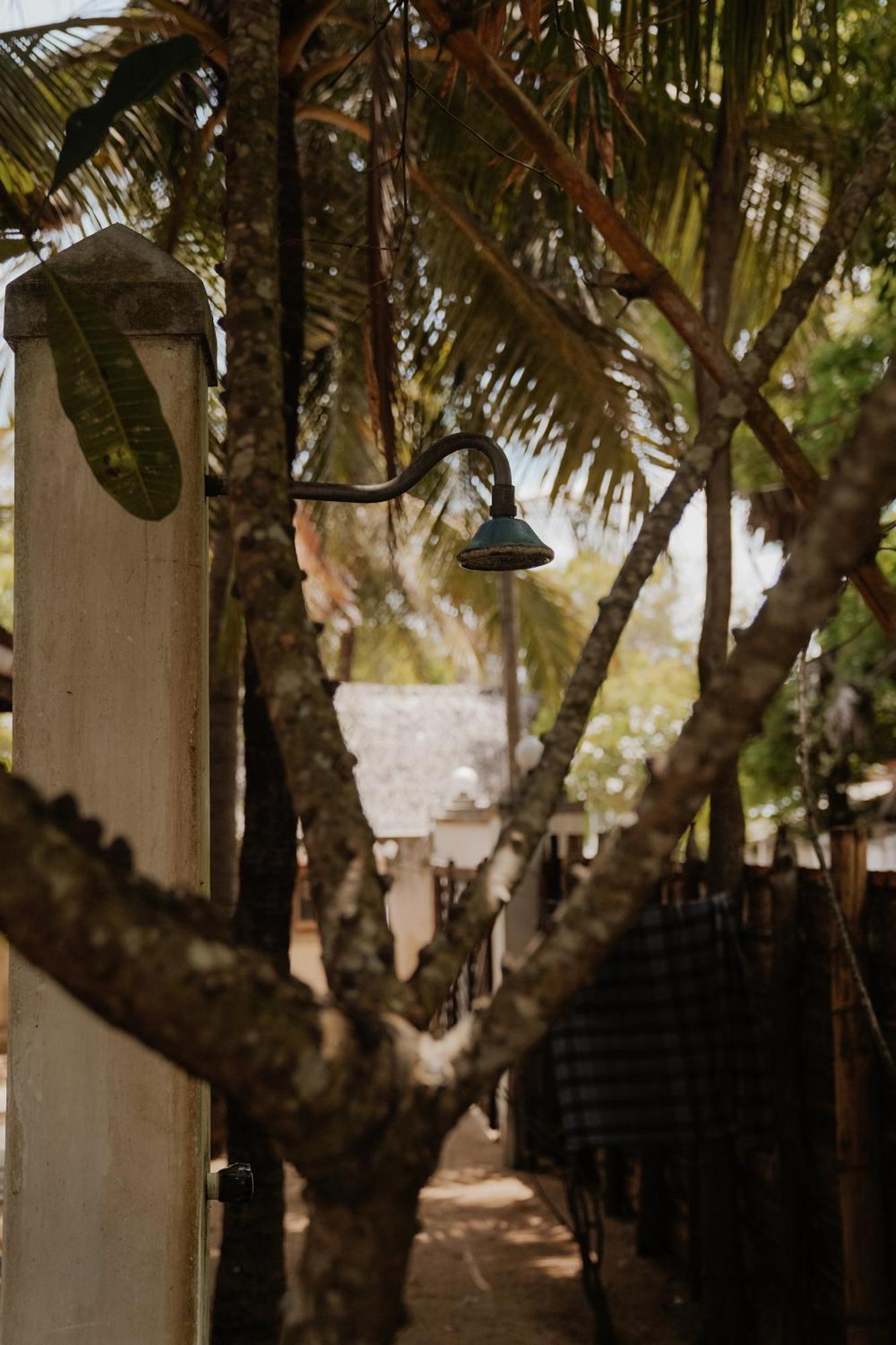 Homestay Wonne Gardenroom